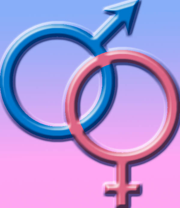 EL GÉNERO DEL PROFESIONAL SÓLO BUSCA FACILITAR SU ADPATACIÓN A LA EMPRESA